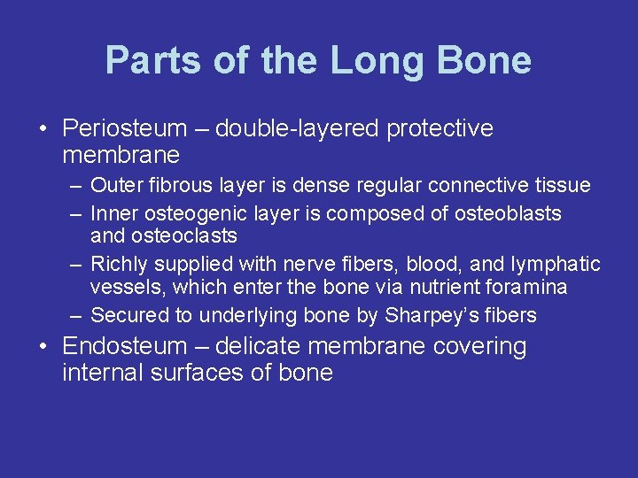 Parts of the Long Bone • Periosteum – double-layered protective membrane – Outer fibrous