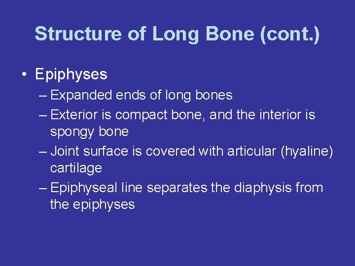 Structure of Long Bone (cont. ) • Epiphyses – Expanded ends of long bones