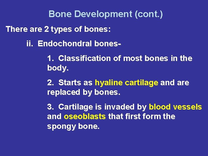 Bone Development (cont. ) There are 2 types of bones: ii. Endochondral bones 1.