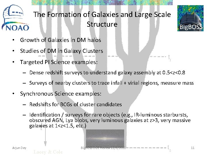The Formation of Galaxies and Large Scale Structure Big. BOSS • Growth of Galaxies