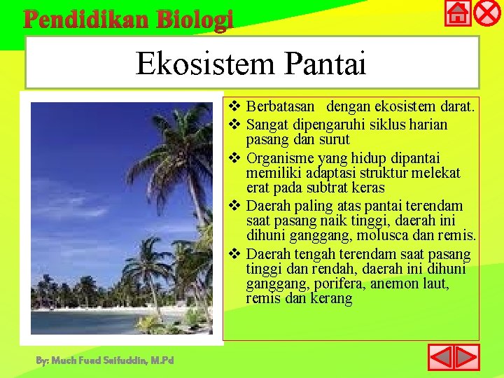 Pendidikan Biologi Ekosistem Pantai v Berbatasan dengan ekosistem darat. v Sangat dipengaruhi siklus harian