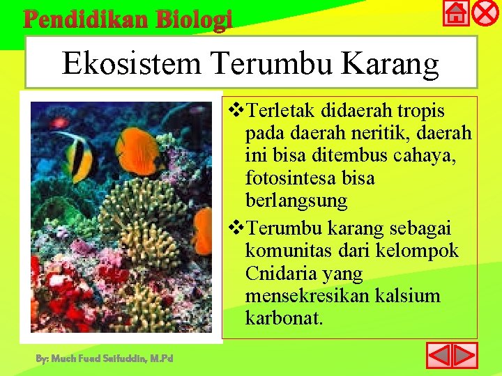 Pendidikan Biologi Ekosistem Terumbu Karang v. Terletak didaerah tropis pada daerah neritik, daerah ini