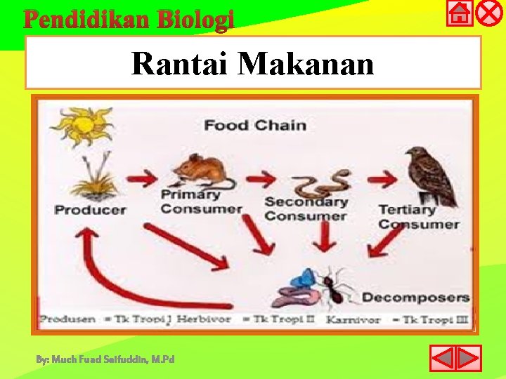 Pendidikan Biologi Rantai Makanan By: Much Fuad Saifuddin, M. Pd 