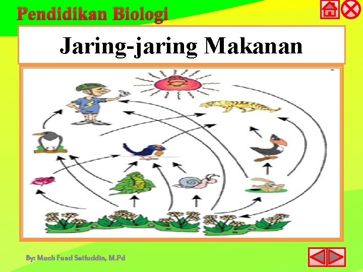 Pendidikan Biologi Jaring-jaring Makanan By: Much Fuad Saifuddin, M. Pd 