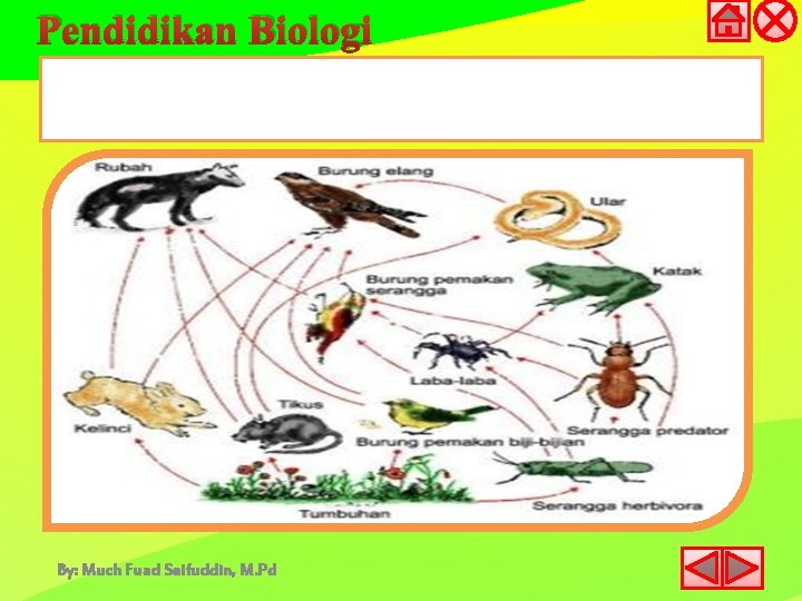 Pendidikan Biologi By: Much Fuad Saifuddin, M. Pd 