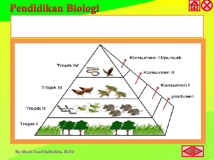 Pendidikan Biologi By: Much Fuad Saifuddin, M. Pd 