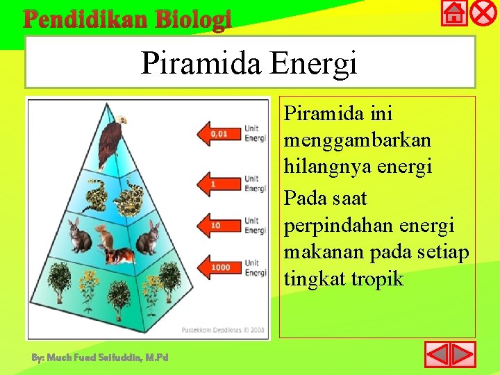 Pendidikan Biologi Piramida Energi Piramida ini menggambarkan hilangnya energi Pada saat perpindahan energi makanan