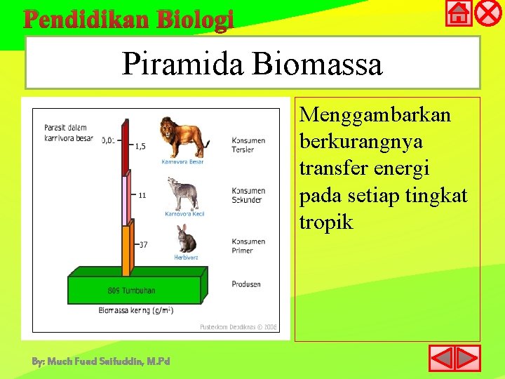 Pendidikan Biologi Piramida Biomassa Menggambarkan berkurangnya transfer energi pada setiap tingkat tropik By: Much