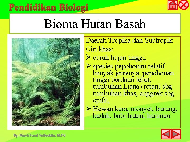 Pendidikan Biologi Bioma Hutan Basah Daerah Tropika dan Subtropik Ciri khas: Ø curah hujan