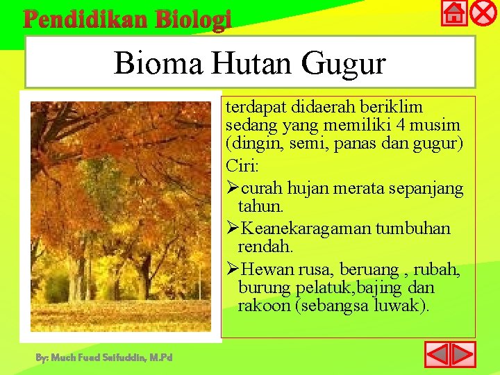 Pendidikan Biologi Bioma Hutan Gugur terdapat didaerah beriklim sedang yang memiliki 4 musim (dingin,