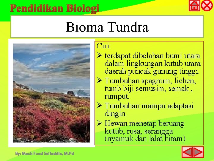 Pendidikan Biologi Bioma Tundra Ciri: Ø terdapat dibelahan bumi utara dalam lingkungan kutub utara