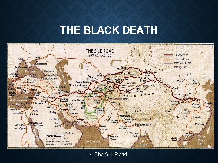THE BLACK DEATH • The Silk Road! 