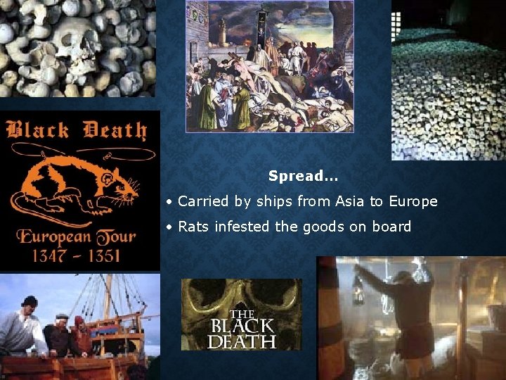 Spread… • Carried by ships from Asia to Europe • Rats infested the goods