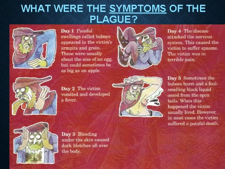 WHAT WERE THE SYMPTOMS OF THE PLAGUE? 