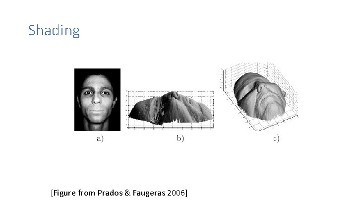 Shading [Figure from Prados & Faugeras 2006] 