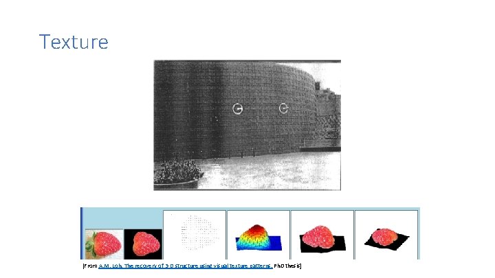 Texture [From A. M. Loh. The recovery of 3 -D structure using visual texture Texture [From A. M. Loh. The recovery of 3 -D structure using visual texture