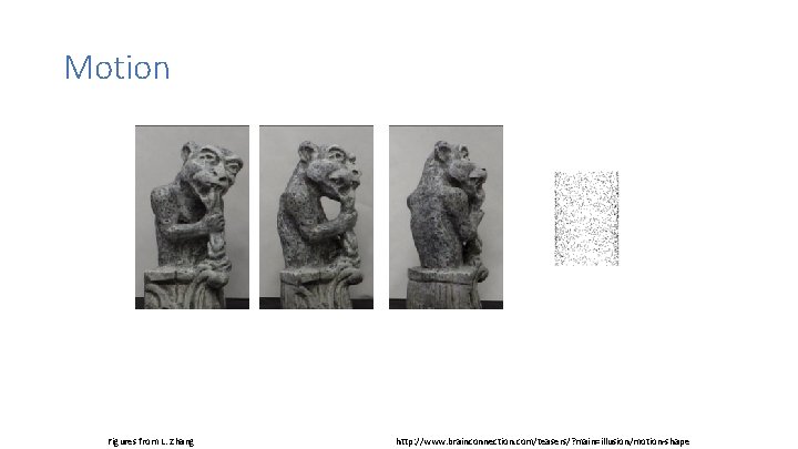 Motion Figures from L. Zhang http: //www. brainconnection. com/teasers/? main=illusion/motion-shape Motion Figures from L. Zhang http: //www. brainconnection. com/teasers/? main=illusion/motion-shape