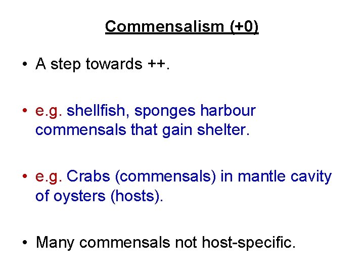 Commensalism (+0) • A step towards ++. • e. g. shellfish, sponges harbour commensals