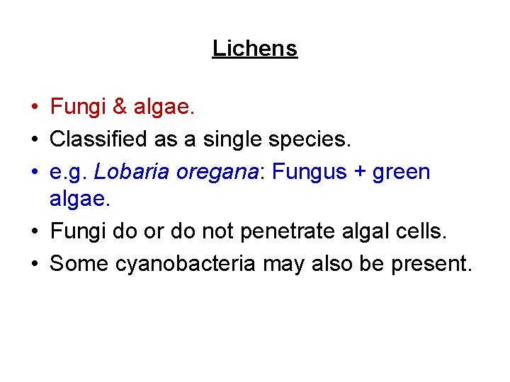 Lichens • Fungi & algae. • Classified as a single species. • e. g.