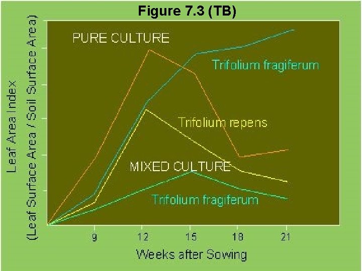 Figure 7. 3 (TB) 