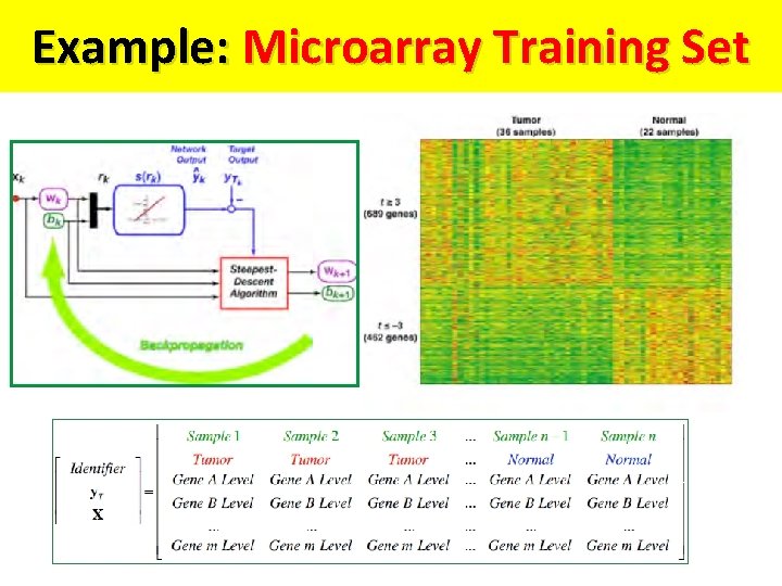 Example: Microarray Training Set Example: Microarray Training Set