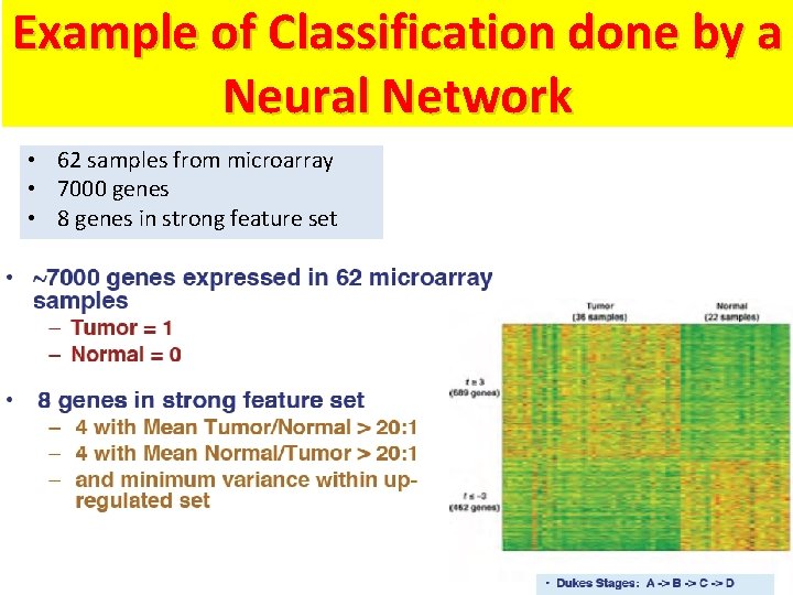 Example of Classification done by a Neural Network • 62 samples from microarray • Example of Classification done by a Neural Network • 62 samples from microarray •