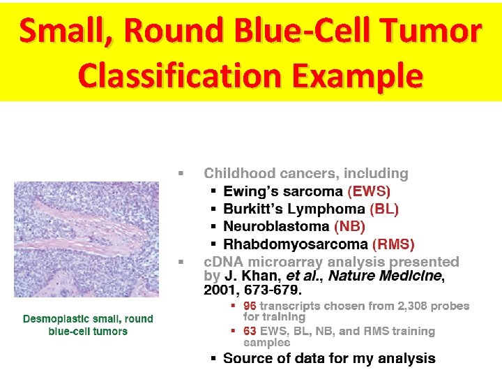 Small, Round Blue-Cell Tumor Classification Example Small, Round Blue-Cell Tumor Classification Example