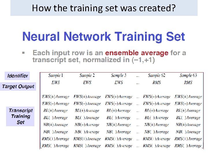 How the training set was created? How the training set was created?