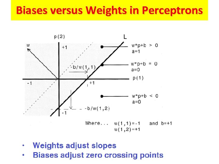Biases versus Weights in Perceptrons Biases versus Weights in Perceptrons