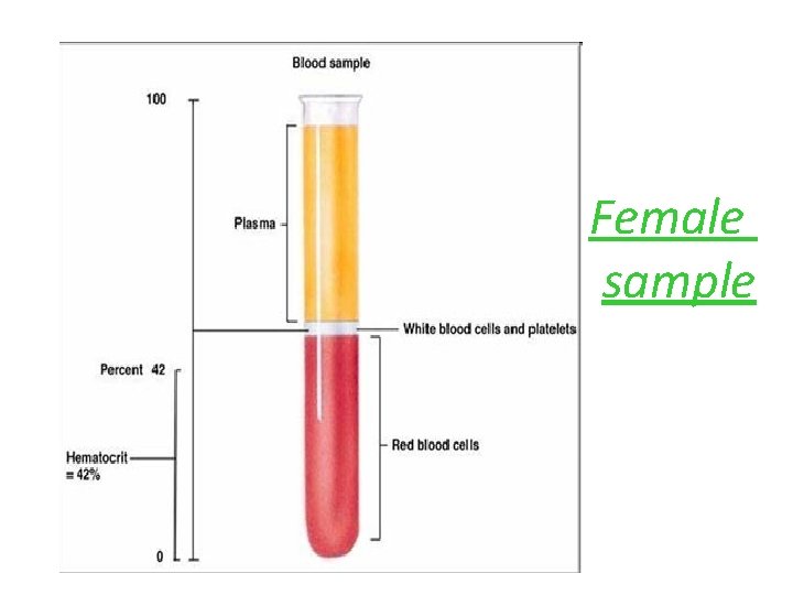 Female sample 