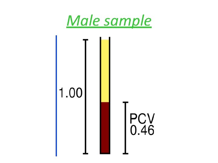 Male sample 