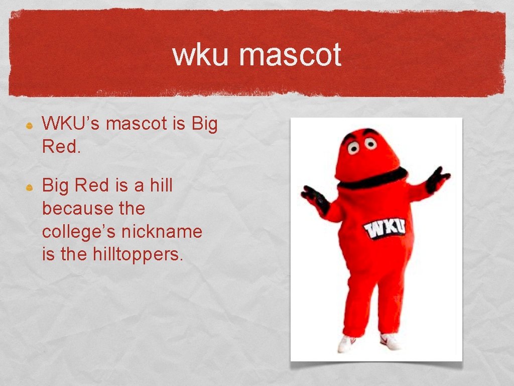 wku mascot WKU’s mascot is Big Red is a hill because the college’s nickname