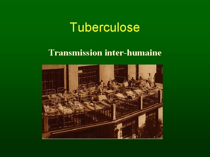Tuberculose Transmission inter-humaine 
