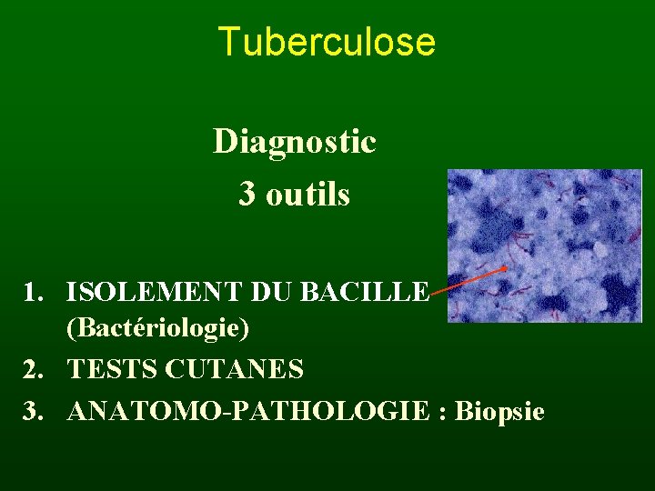 Tuberculose Diagnostic 3 outils 1. ISOLEMENT DU BACILLE (Bactériologie) 2. TESTS CUTANES 3. ANATOMO-PATHOLOGIE