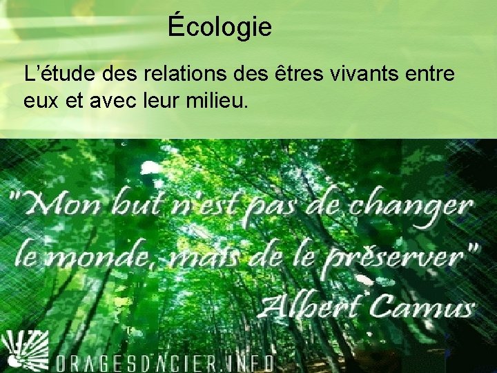 Écologie L’étude des relations des êtres vivants entre eux et avec leur milieu. 