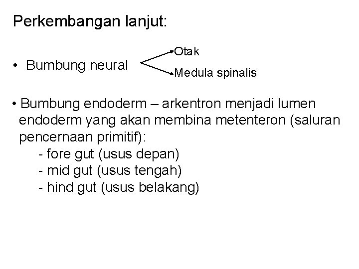 Perkembangan lanjut: • Bumbung neural Otak Medula spinalis • Bumbung endoderm – arkentron menjadi