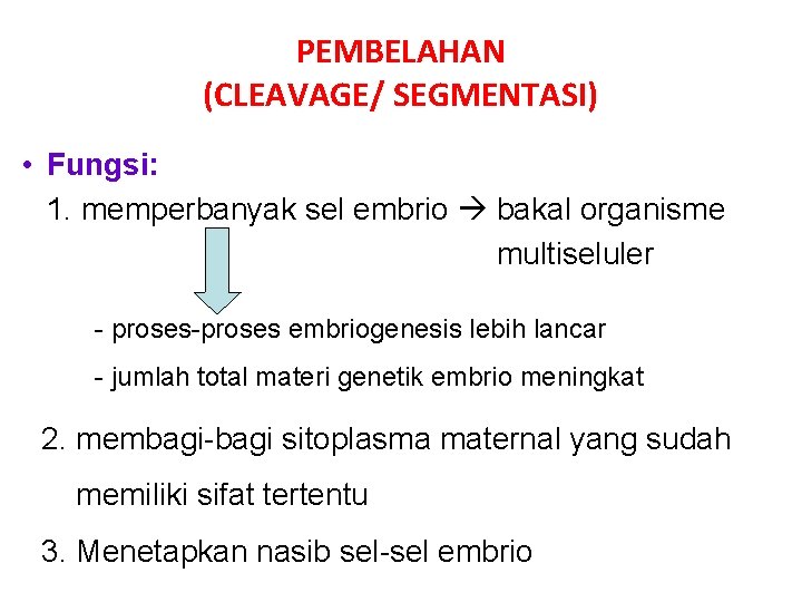 PEMBELAHAN (CLEAVAGE/ SEGMENTASI) • Fungsi: 1. memperbanyak sel embrio bakal organisme multiseluler - proses-proses