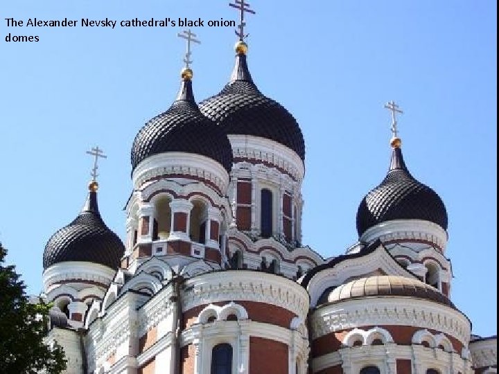 The Alexander Nevsky cathedral's black onion domes 