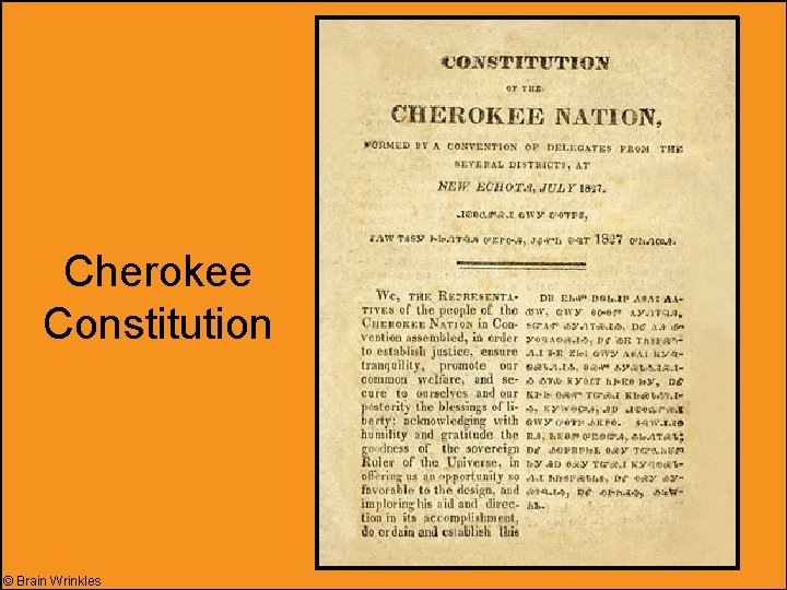 Cherokee Constitution © Brain Wrinkles 