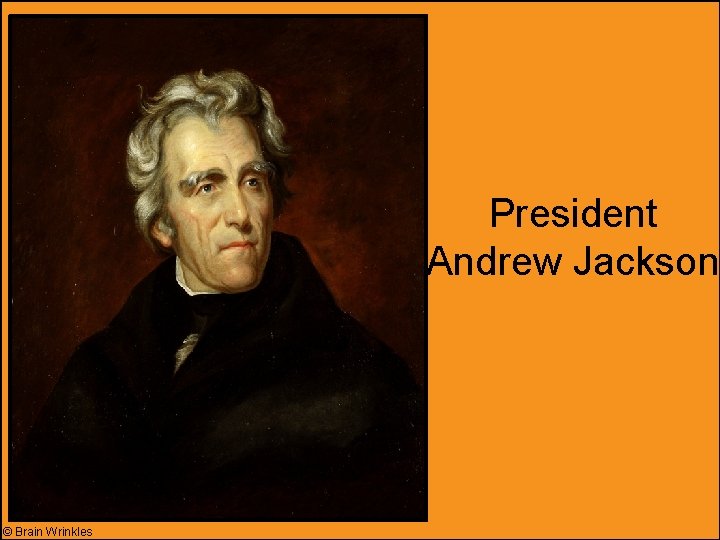 President Andrew Jackson © Brain Wrinkles 