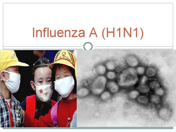 Influenza A (H 1 N 1) 
