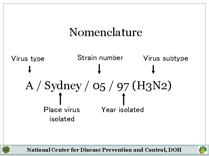 Nomenclature Virus type Strain number Virus subtype A / Sydney / 05 / 97