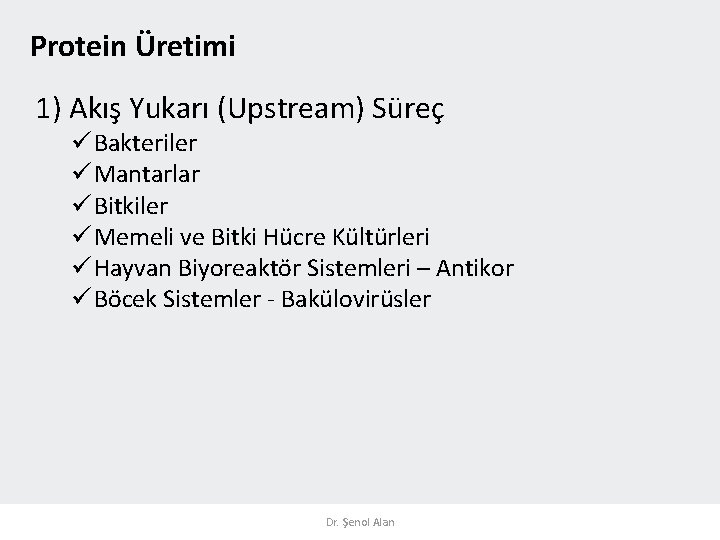 Protein Üretimi 1) Akış Yukarı (Upstream) Süreç Bakteriler Mantarlar Bitkiler Memeli ve Bitki Hücre