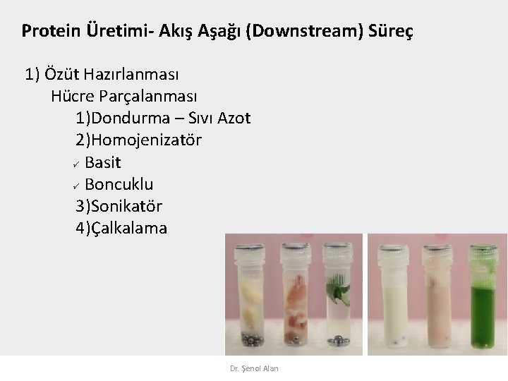 Protein Üretimi- Akış Aşağı (Downstream) Süreç 1) Özüt Hazırlanması Hücre Parçalanması 1)Dondurma – Sıvı