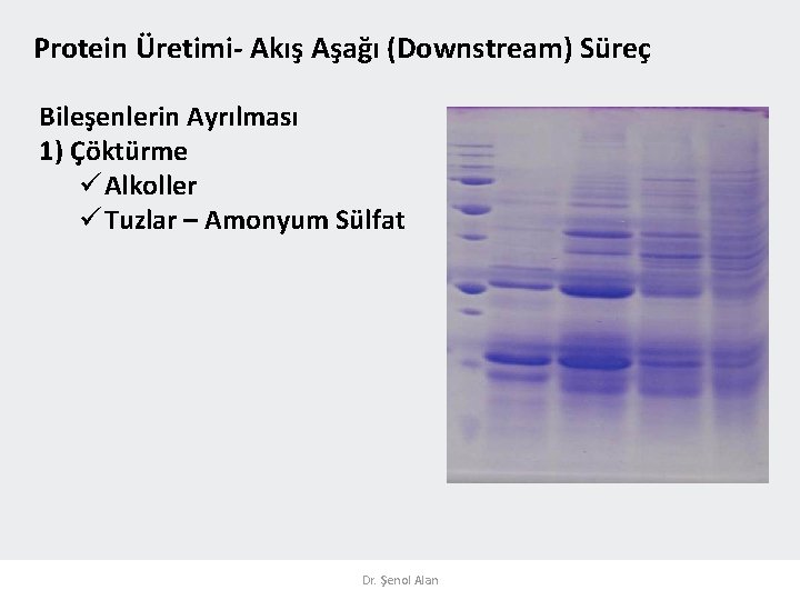 Protein Üretimi- Akış Aşağı (Downstream) Süreç Bileşenlerin Ayrılması 1) Çöktürme Alkoller Tuzlar – Amonyum