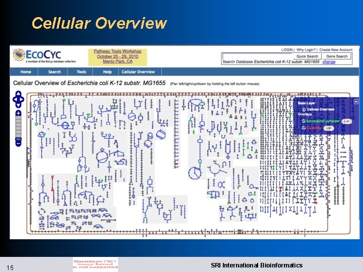 Cellular Overview 15 SRI International Bioinformatics 