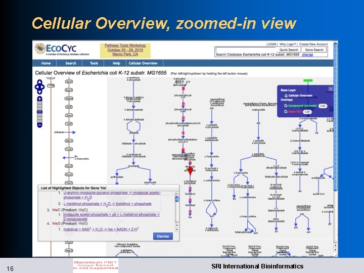 Cellular Overview, zoomed-in view 16 SRI International Bioinformatics 