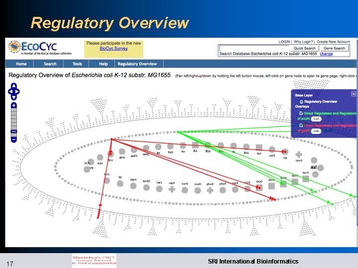 Regulatory Overview 17 SRI International Bioinformatics 