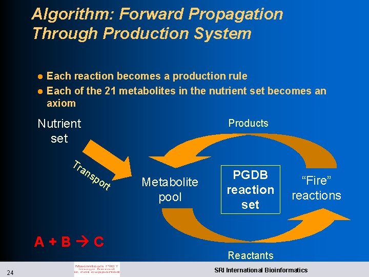 Algorithm: Forward Propagation Through Production System l l Each reaction becomes a production rule