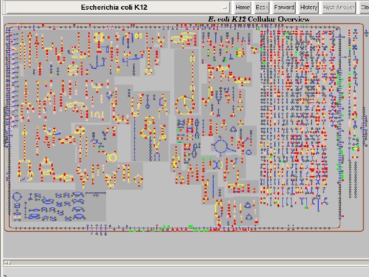 25 SRI International Bioinformatics 